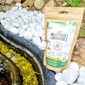 Larvicides - Laboratoire LMC