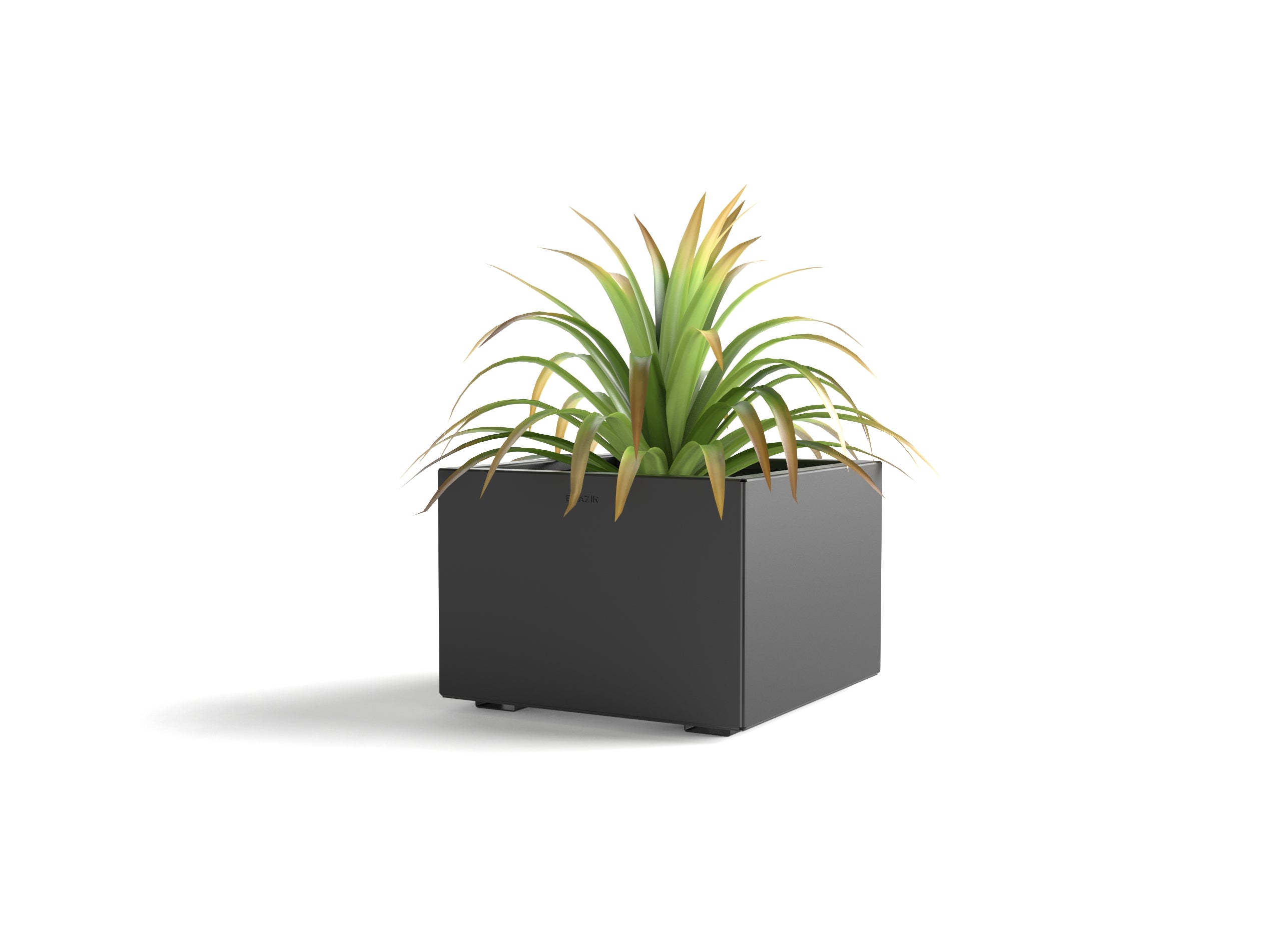 Jardinière M - 100 x 50 x 50 cm