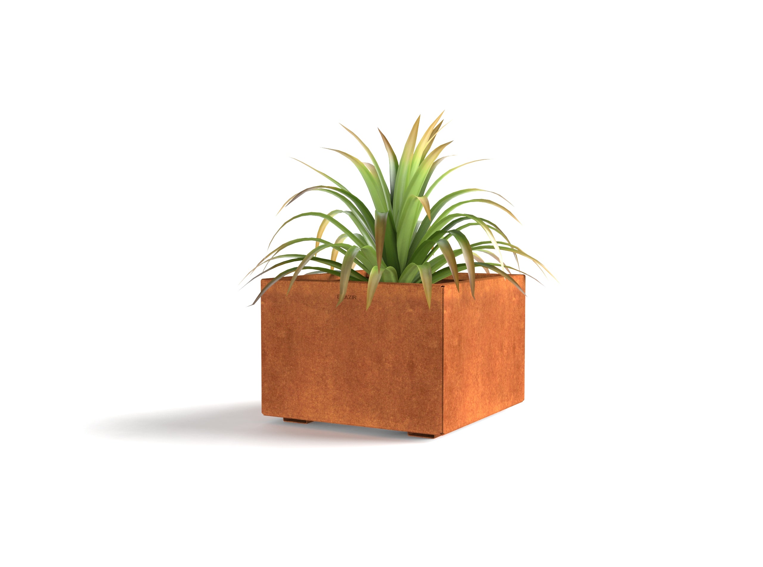 Jardinière M - 100 x 50 x 50 cm